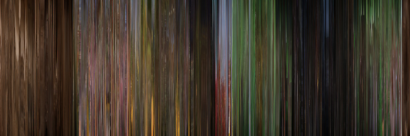The Wizard of Oz, by Movie Barcode